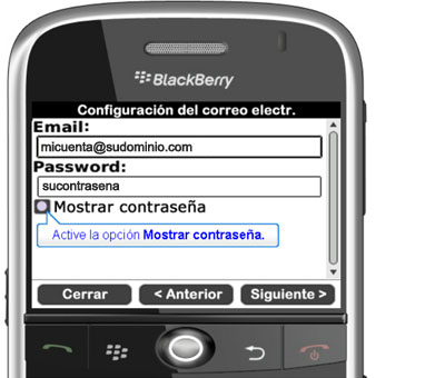 blackberry-8