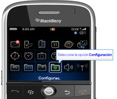 blackberry2