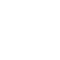 Heineken-Web